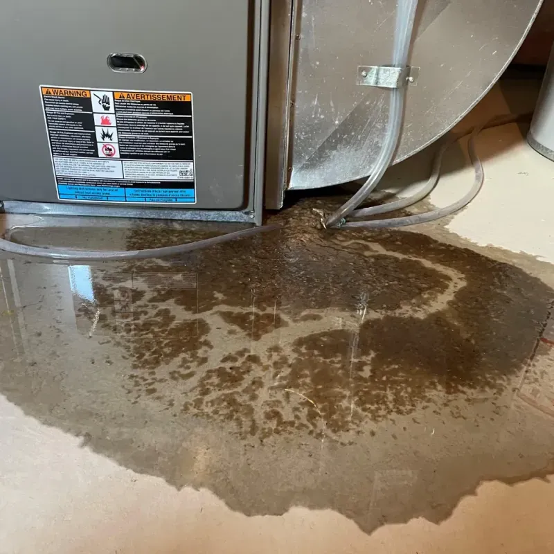 Appliance Leak Cleanup in Kennebec, SD